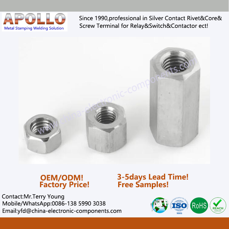 Stainless Steel Nut for Screw Bolt.jpg