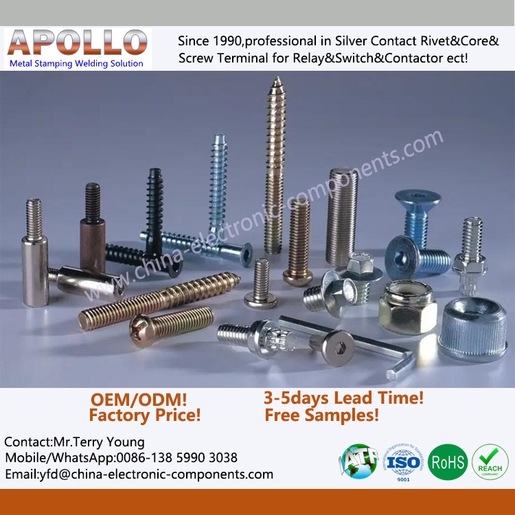 Customized Steel Screw.jpg