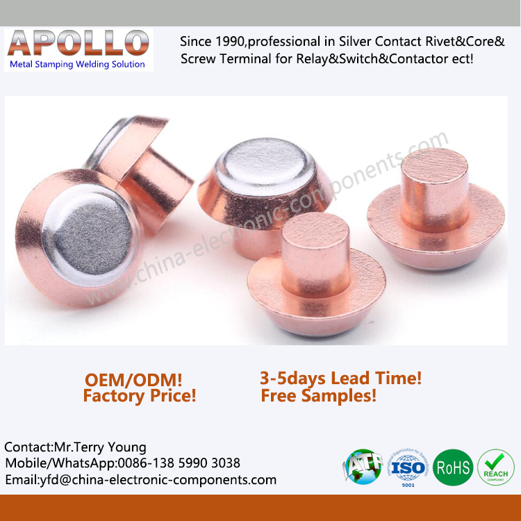 Magnetic Latching Relay Silver Contact with Steps Cap