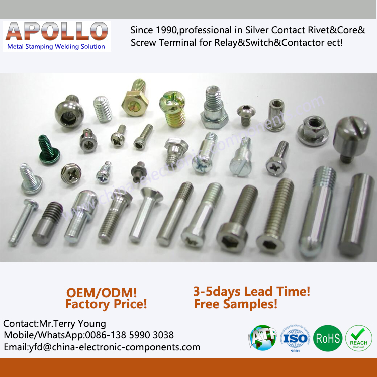 Customizable OEM Steel Screws