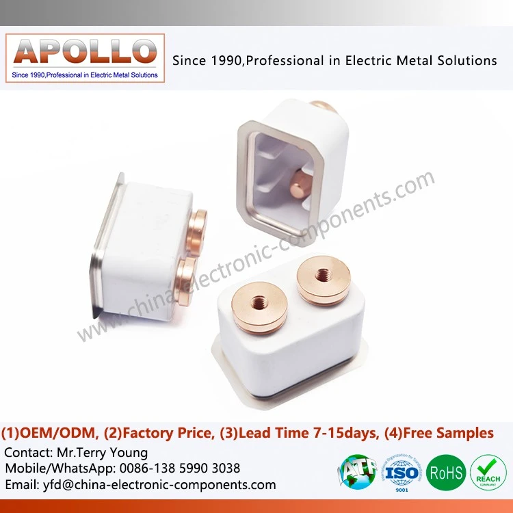 Ceramic EV Relay Case
