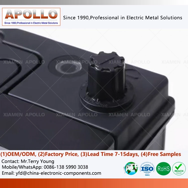 Lithium lon Starting Battery