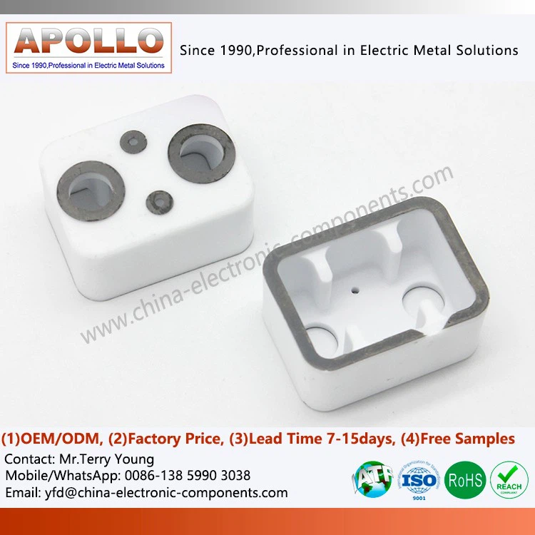 Alumina Relay Ceramic Envelope for Electric Automobile