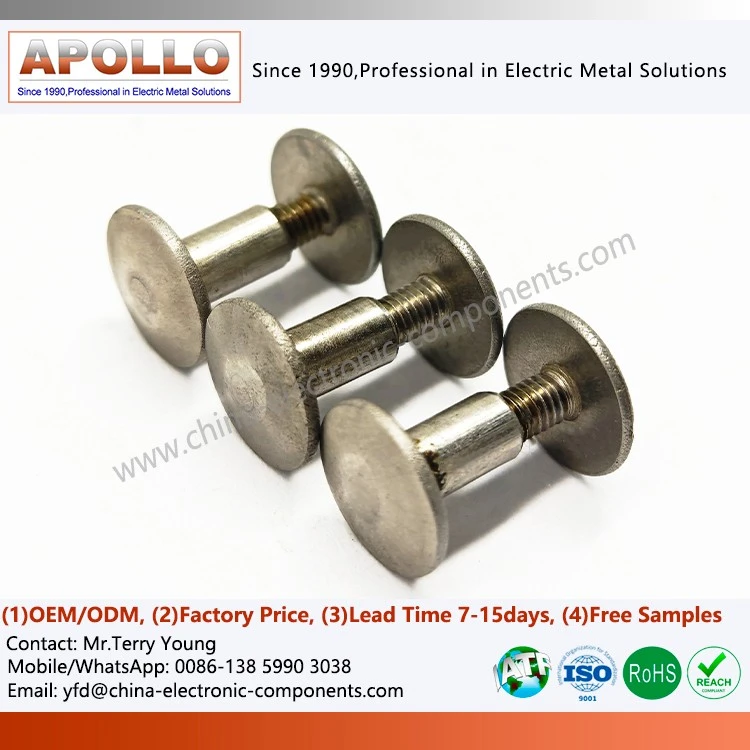 Ledger Rivet Screw