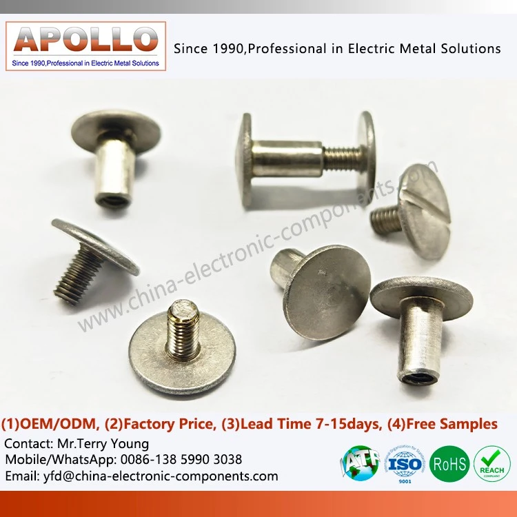 Leather Binding Screw