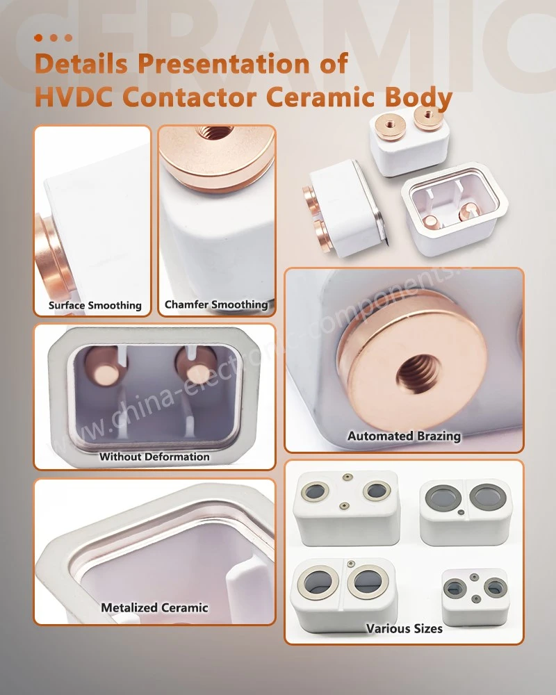 Details Presentation of Metallized Ceramics for Electrical Details Presentation of Metallized Ceramics for Electrical