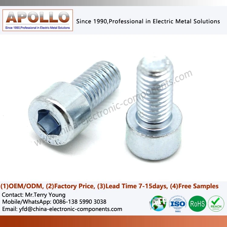 Flat-head Hexagon Socket Stainless Steel Screws Flat-head Hexagon Socket Stainless Steel Screws