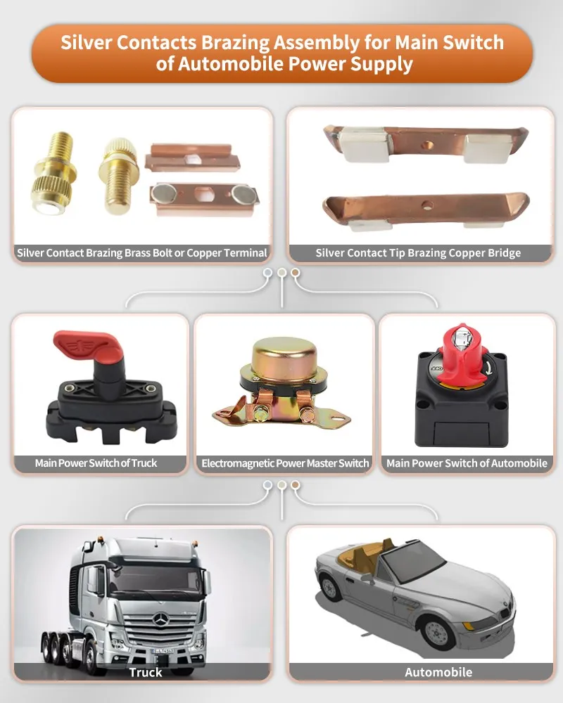 Silver Tipped Copper Contact Assembly for Main Switch of Automobile Power Supply Silver Tipped Copper Contact Assembly for Main Switch of Automobile Power Supply