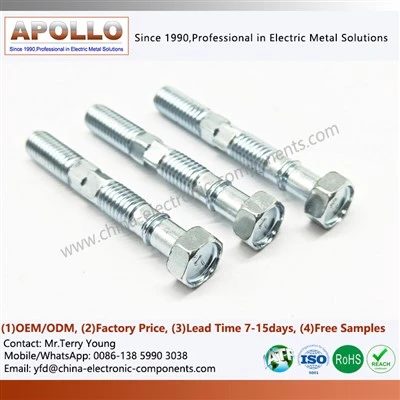 Pan Head Wood Screw