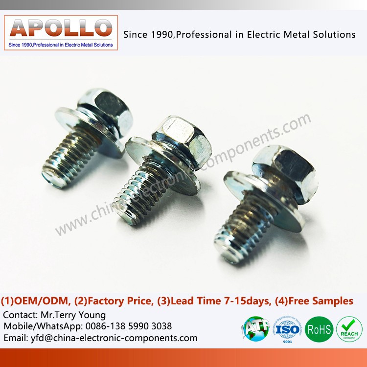 Hexagon Head Screw with Combined Washer